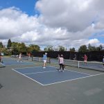 John Mise Park Pickleball Courts in San Jose court image