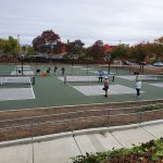 Lone Hill Park Pickleball Courts in San Jose court image