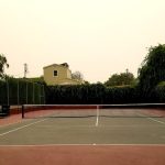 Jewel's Terrace Park in Albany court image