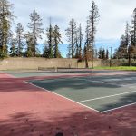 Marijane Hamann Park in San Jose court image