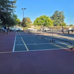 Paul Moore Park Tennis and Pickleball Courts in San Jose court image