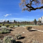 Ramac Park Tennis Court in San Jose court image