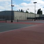 Wallenberg Park in San Jose court image