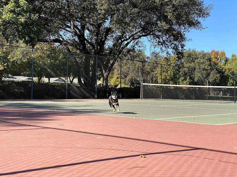 Tennis-Courts-California-Vacaville-Alamo Creek Park
