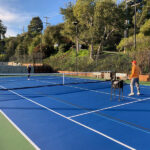 Strawberry Park Tennis Courts court image