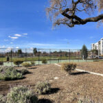 Ramac Park Tennis Courts in San Jose, CA court image