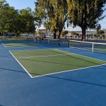 De Anza Park Pickleball Courts in San Jose court image