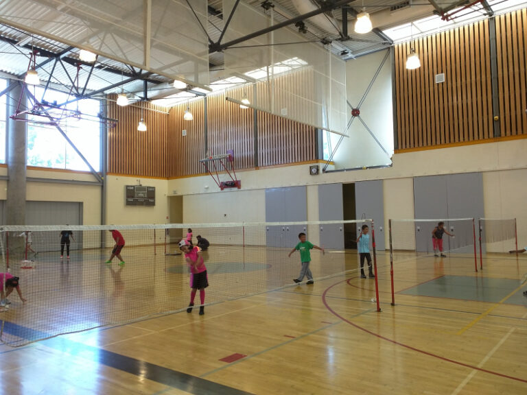 california-fremont-irvington-community-center-indoor-pickleball-courts